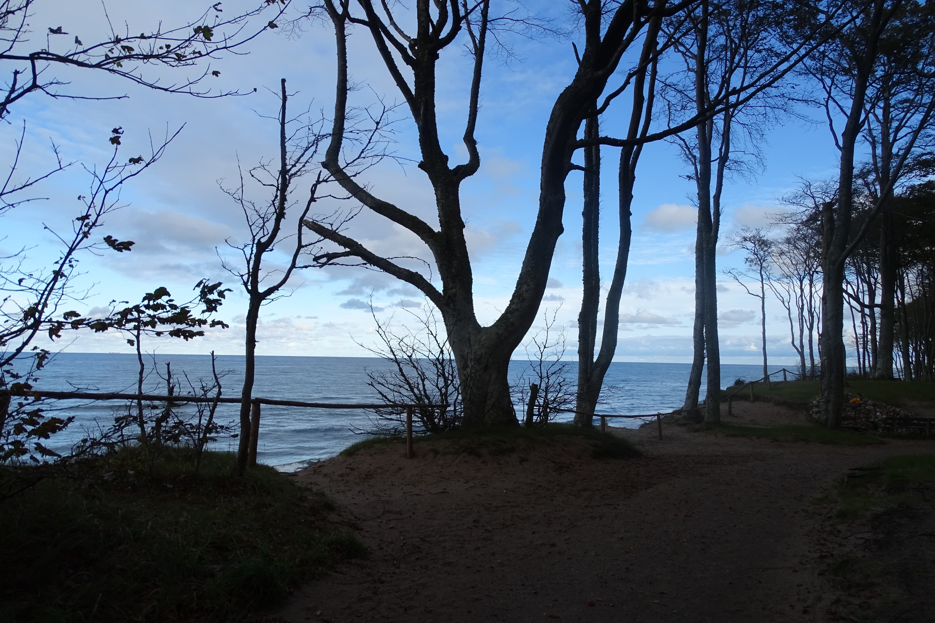 Ścieżka przez las ku morzu w Dębinie